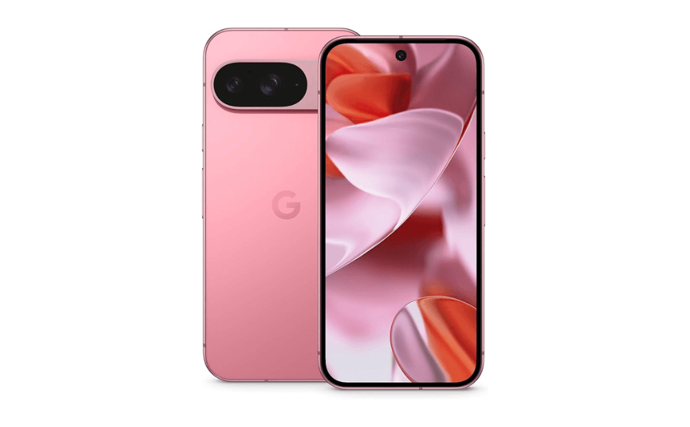 Google Pixel 9 large